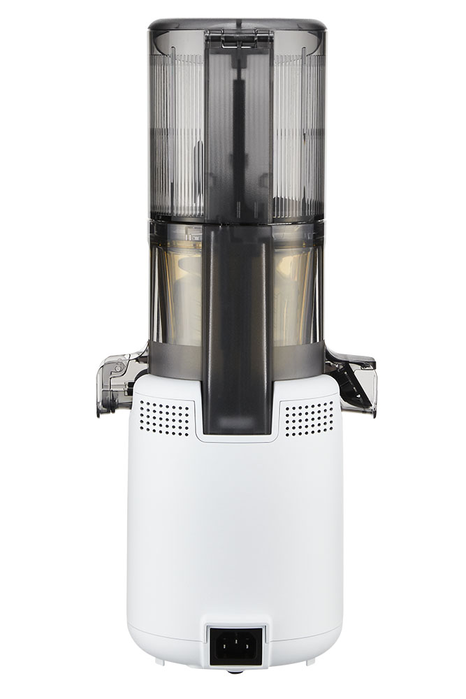 Hurom H310a Cold Press Juicer