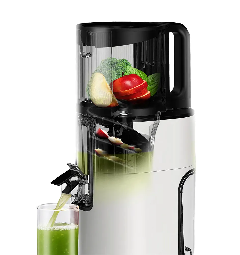 Hurom H400 Cold Press Juicer